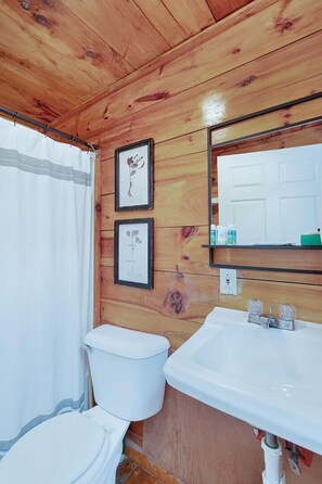 Combined shower/bathtub, towels, soap, shampoo - Cozy Cabin 1 at Cave Run Cabins near Cave Run Lake & MSU (Morehead)
