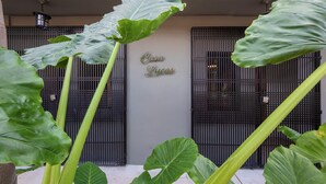 A building facade with large green leaves in front and a sign that reads "Casa Lucas".