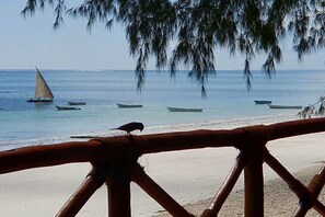 En la playa y camastros 