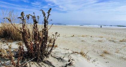 Kuvittele sitä! Upea upouusi, tilava 4BR / 3Ba Luxury Beach Retreat!