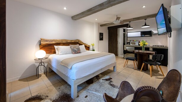 A modern bedroom with a wooden headboard, a white bed, a round bedside table with a lamp, and a cowhide rug. - Zona Romantica Beautiful Modern Studio (Emiliano Zapata)