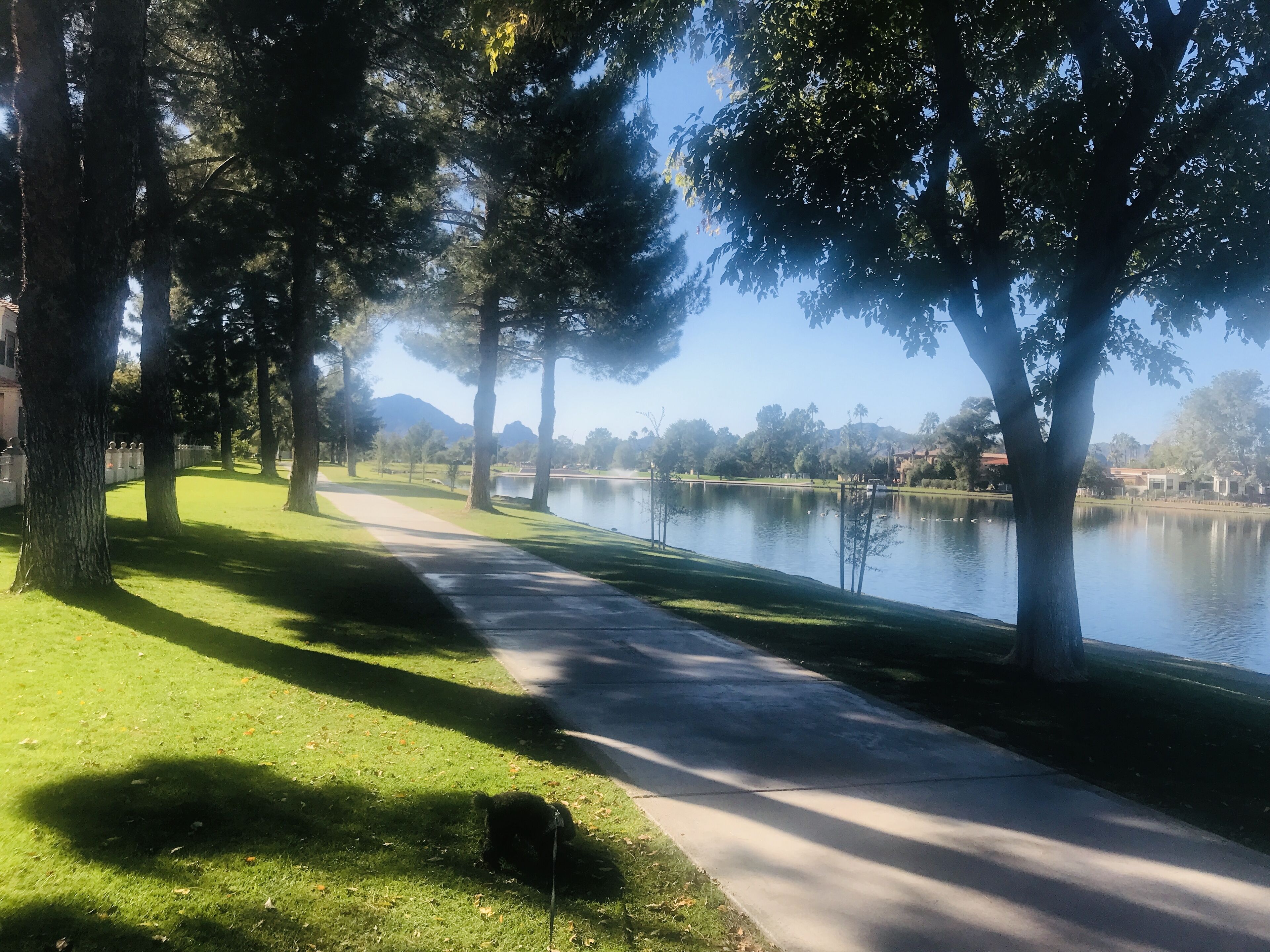 New! Striking McCormick Lake Condo in Heart of Resort & Entertainment Area