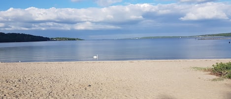 Ranta