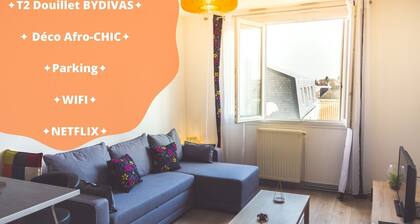 âŠT2 DOUILLET BY DIVAS⊠DĂCO ETCHNIQUEâŠPARKINGâŠWIFI