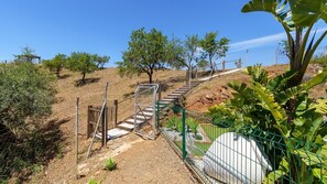 المنطقة المحيطة بالمنشأة