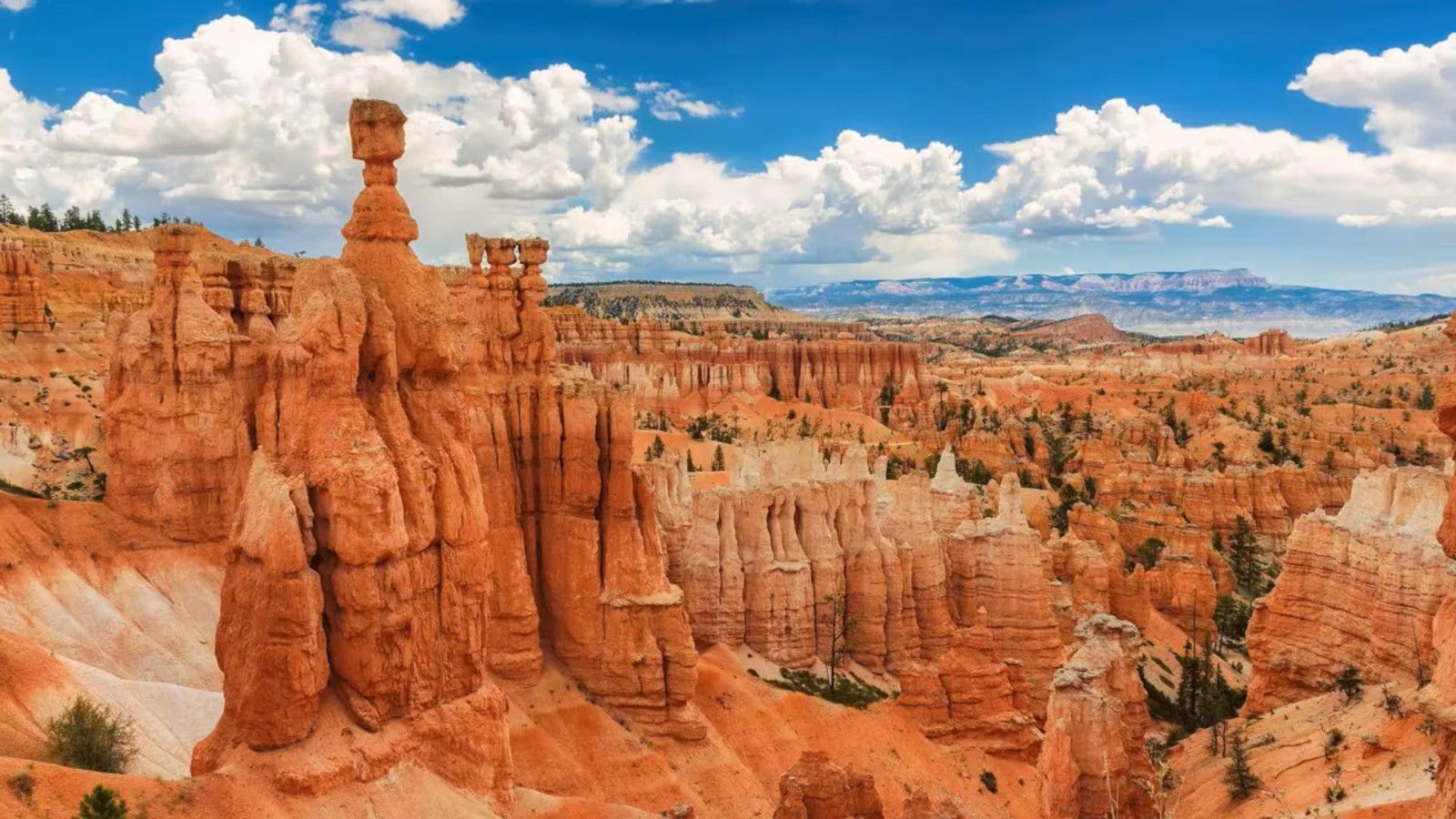 Une vue panoramique d’un canyon aux roches rouges, avec des formations en strates et des montagnes lointaines sous un ciel dégagé.