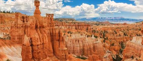 Une vue panoramique d’un canyon aux roches rouges, avec des formations en strates et des montagnes lointaines sous un ciel dégagé.