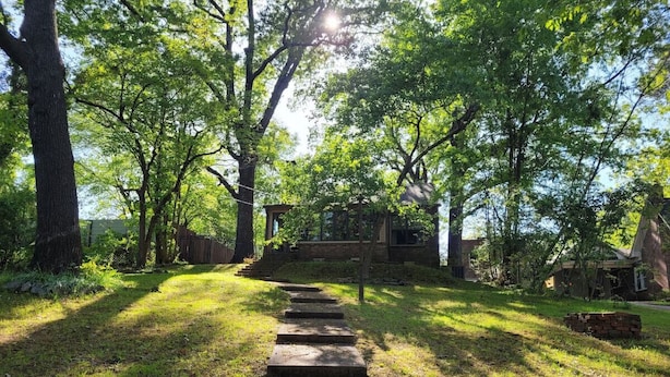 Un sentier de pierres menant à une structure en bois, elle-même entourée d’arbres.