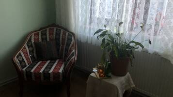 A corner room with a patterned armchair, a table with a potted plant, and a lace-curtained window.