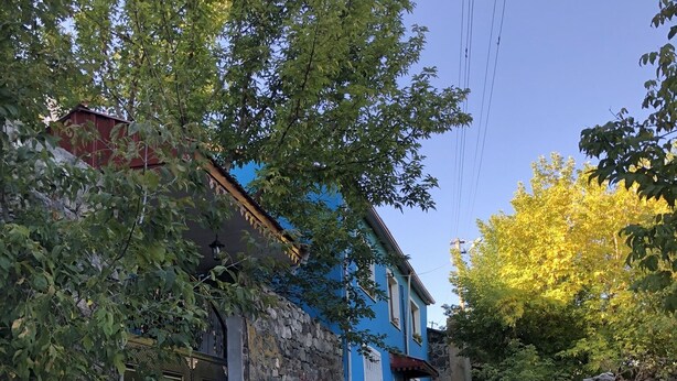A cobblestone street with a blue building, stone walls, and trees. - Mavi Ladin Konukevi (Kars)