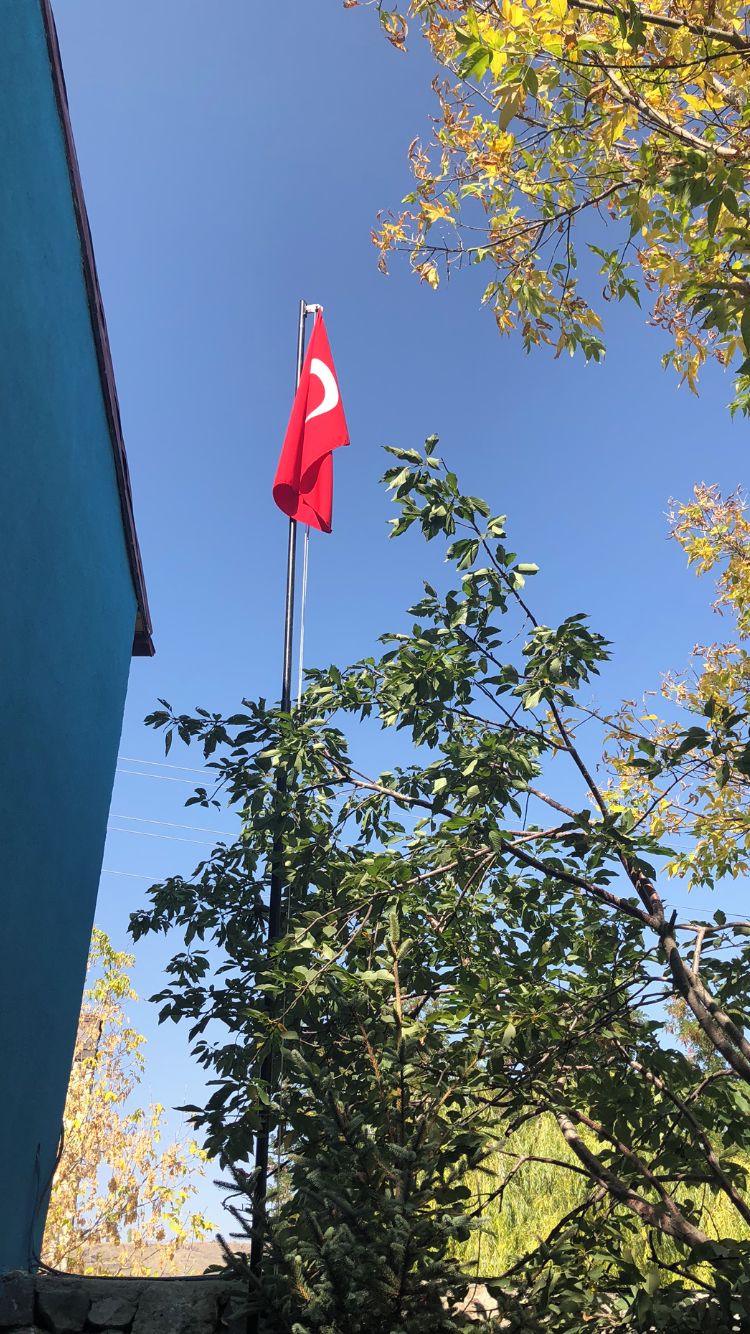 A flagpole with a flag, surrounded by trees and a building.