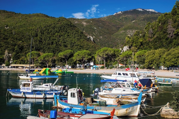 A marina with boats docked, surrounded by a mountainous landscape and trees.