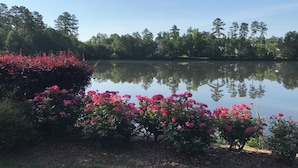 Un lac paisible, avec des fleurs roses au premier plan et une rive boisée en arrière-plan.