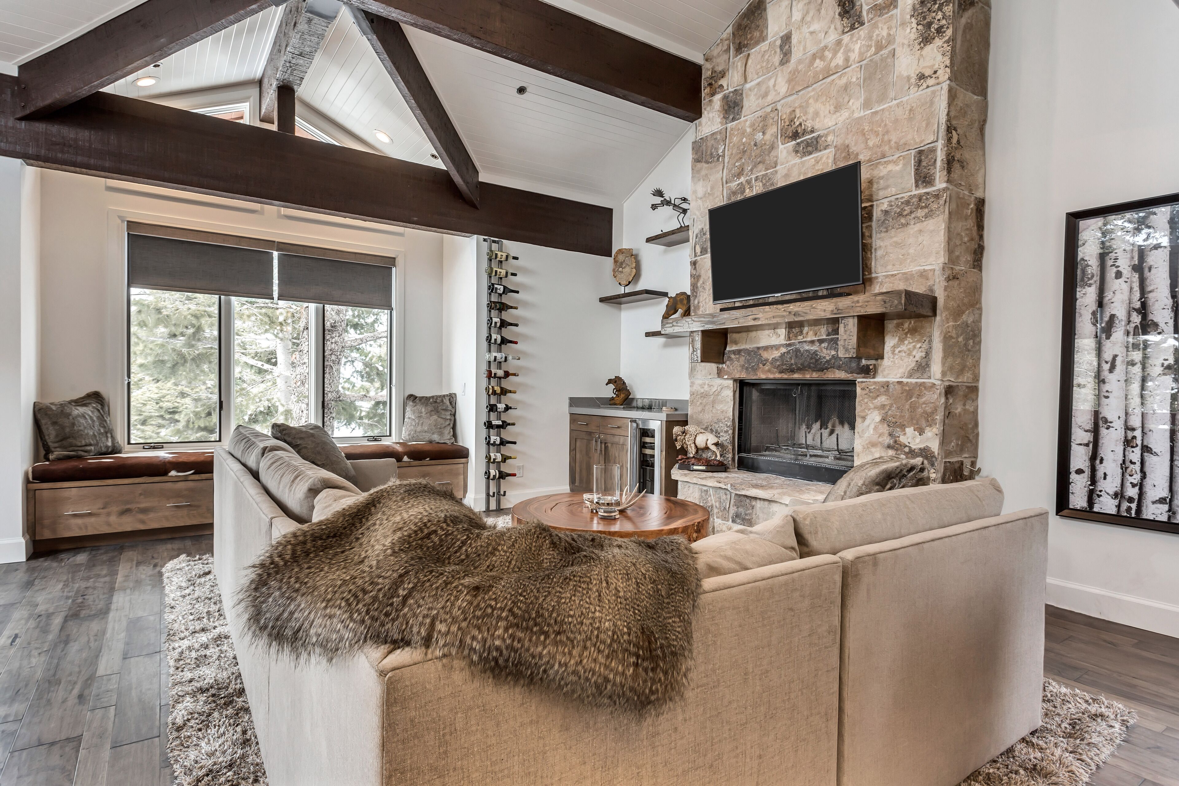 智能電視、壁爐、DVD 播放機、音響