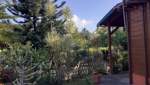Un jardín con diversas plantas, una cerca de madera y un edificio con techo de metal.