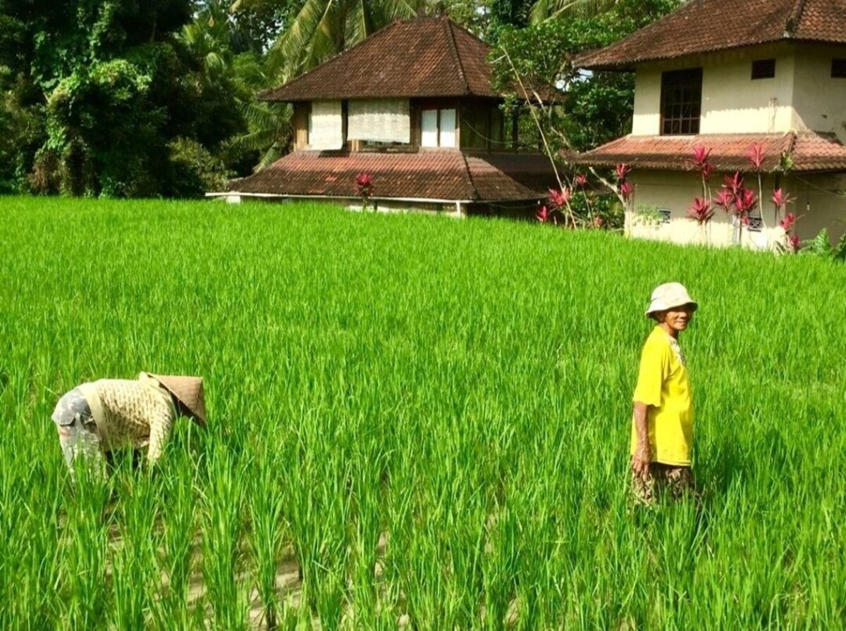 Image de profil de l’hôte