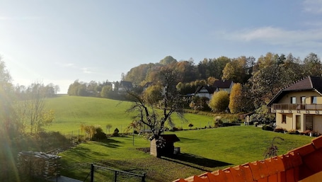 Jardines del alojamiento. Apartamento en los Montes Metálicos / Karlovy Vary region UNESCO
