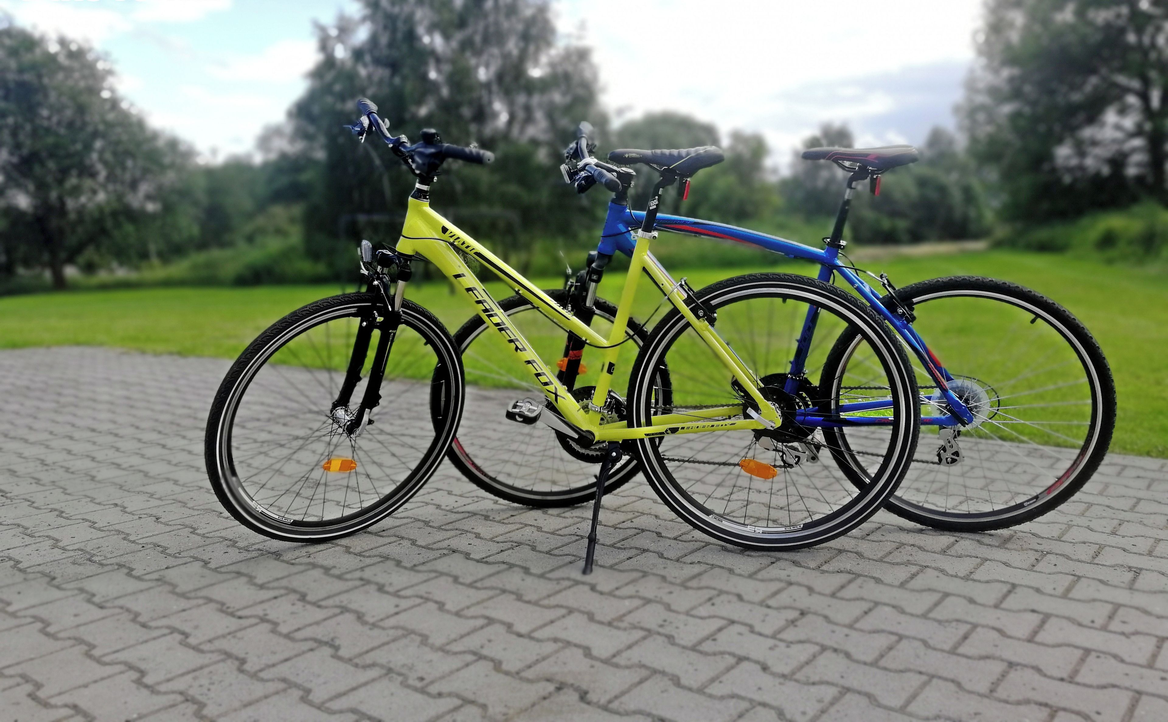 Two bicycles parked on a paved surface with a grassy area and trees in the background.