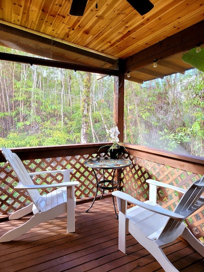 tiny home 1- with kitchen equipped with essentials near at the Volcano Park!