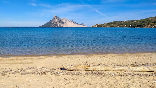 A beach with clear blue water, a large rock formation, and a sandy shore. - Holiday Apartment "Corbezzoli" with Sea View, Wi-Fi, Balcony, Garden & Terrace (San Teodoro)
