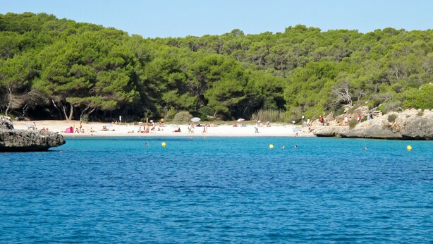 A beach with clear blue water, sandy shore, and a forested hill in the background.