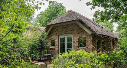 Vlindervallei Studio 2p