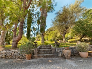 Stroll through a serene garden pathway surrounded by lush greenery and potted plants.