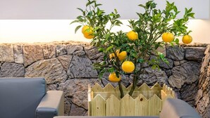 Un mur de pierres, une clôture en bois et un citronnier devant un espace aménagé pour s’asseoir.