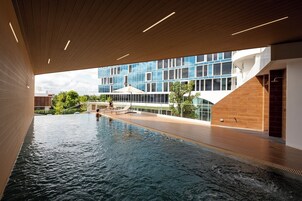 Una piscina al aire libre, sombrillas, sillones reclinables de piscina