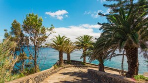 A coastal pathway lined with palm trees and pine trees, leading to a body of water. - FLH Luxury Villa Mar with Private Sea Access (Funchal)