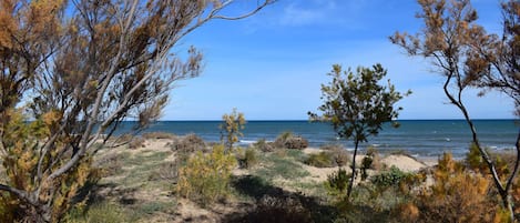 Vlak bij het strand