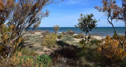 Anacasa Avinyo Sector 5 AP121