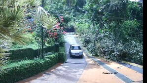 A car parked on a paved road with a hedge and palm trees on one side and a metal fence on the other. - Close to Carnival &  POS activities! Secure 1 bdr apt, mins from Port of Spain (St Anns)