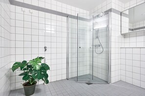 Douche de la salle de bain