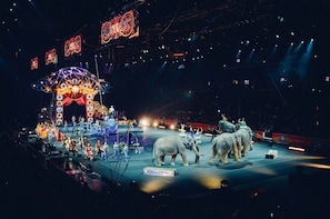 Een circusspektakel met olifanten en artiesten op het podium.