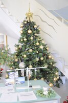 Árvore de Natal com enfeites dourados e luzes, mesa de vidro com papéis e uma escadaria ao fundo.