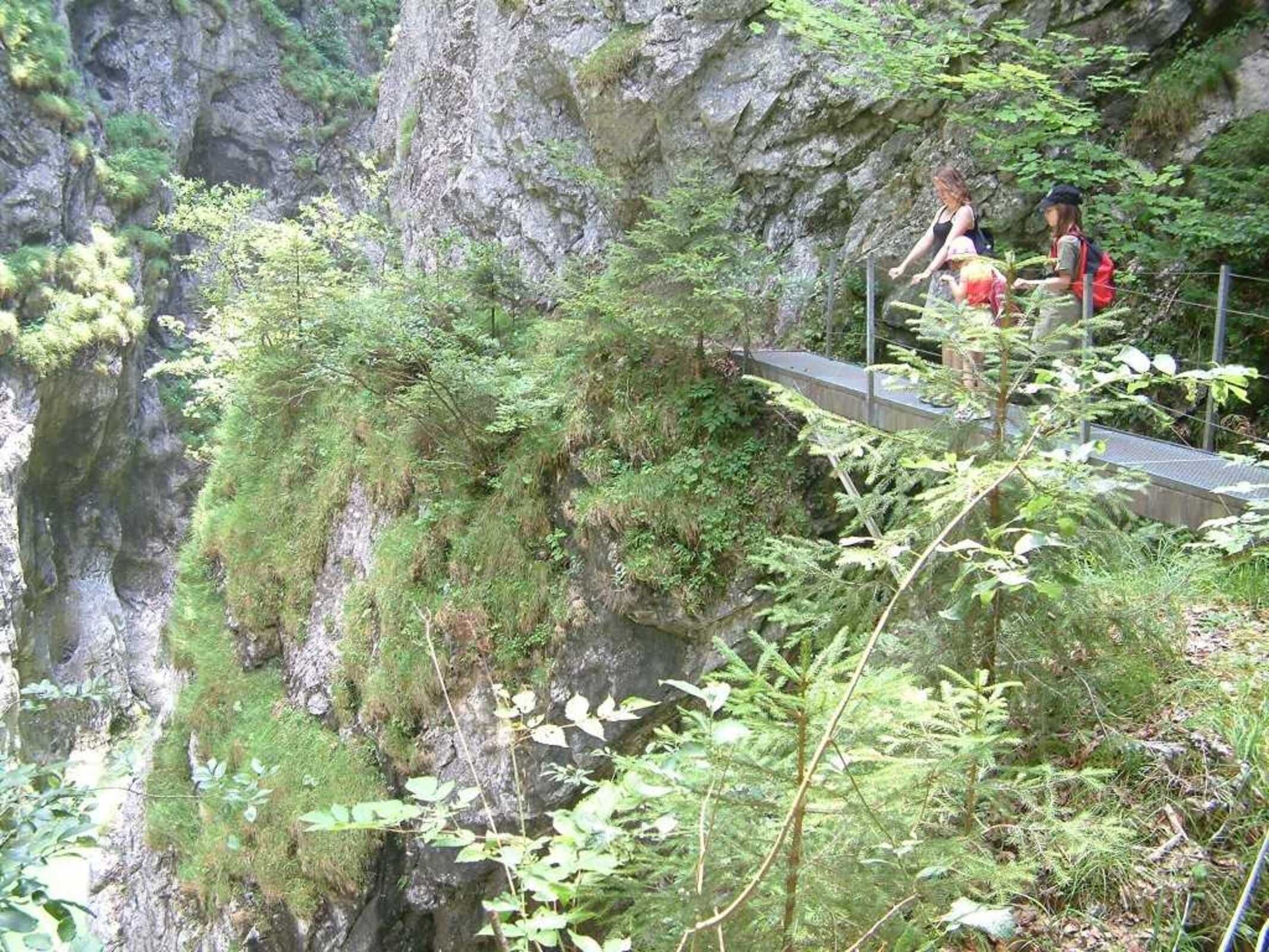 Un pont étroit, entouré d’une nature préservée et bordé d’une falaise rocheuse.
