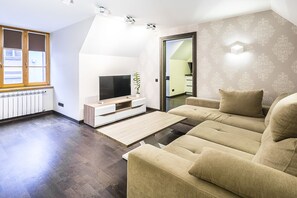 豪華公寓 | 客廳 | 40 吋LCD 電視連有線電視頻道、電視