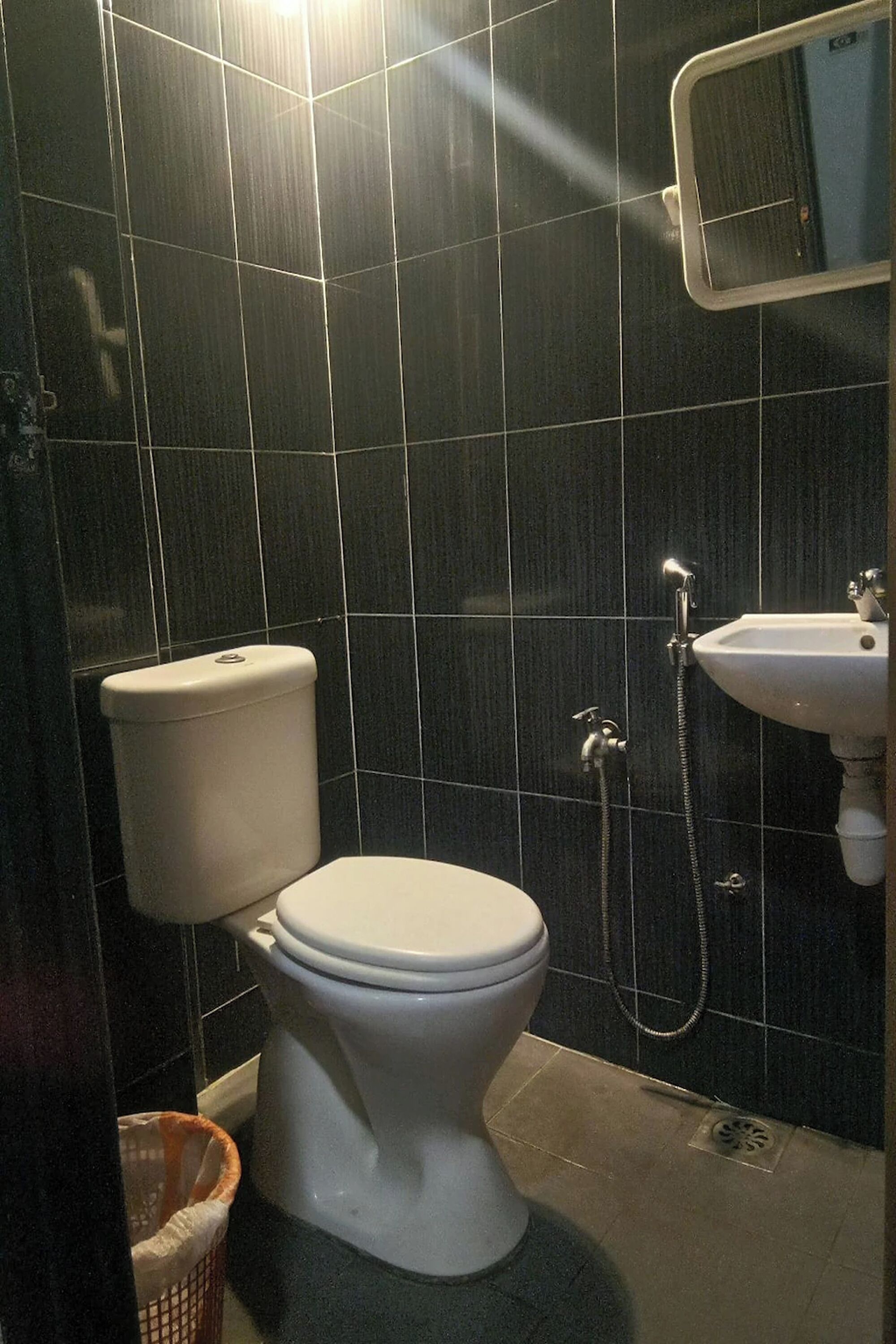 A bathroom with a toilet, a sink, and a shower.