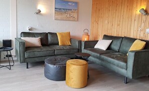 TV, fireplace, books