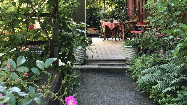 Une terrasse en bois avec une table et des chaises, située sous une zone abritée, entourée d’une végétation luxuriante et d’une clôture en bois.