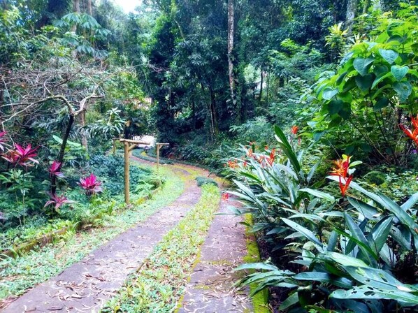 Áreas de la propiedad