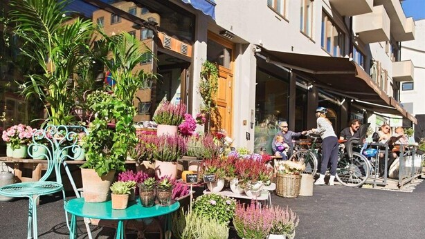 Un mercado callejero con diversas macetas y flores.