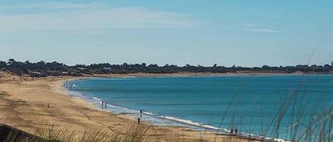 Playa en los alrededores