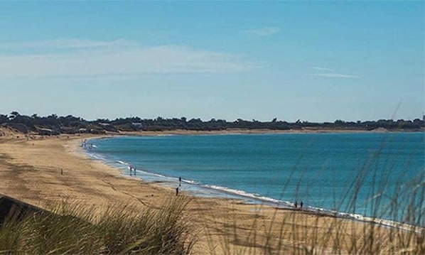 A beach with clear blue water, sandy shore, and sparse vegetation. - Homerez - House in La Couarde-sur-Mer (La Couarde-sur-Mer)