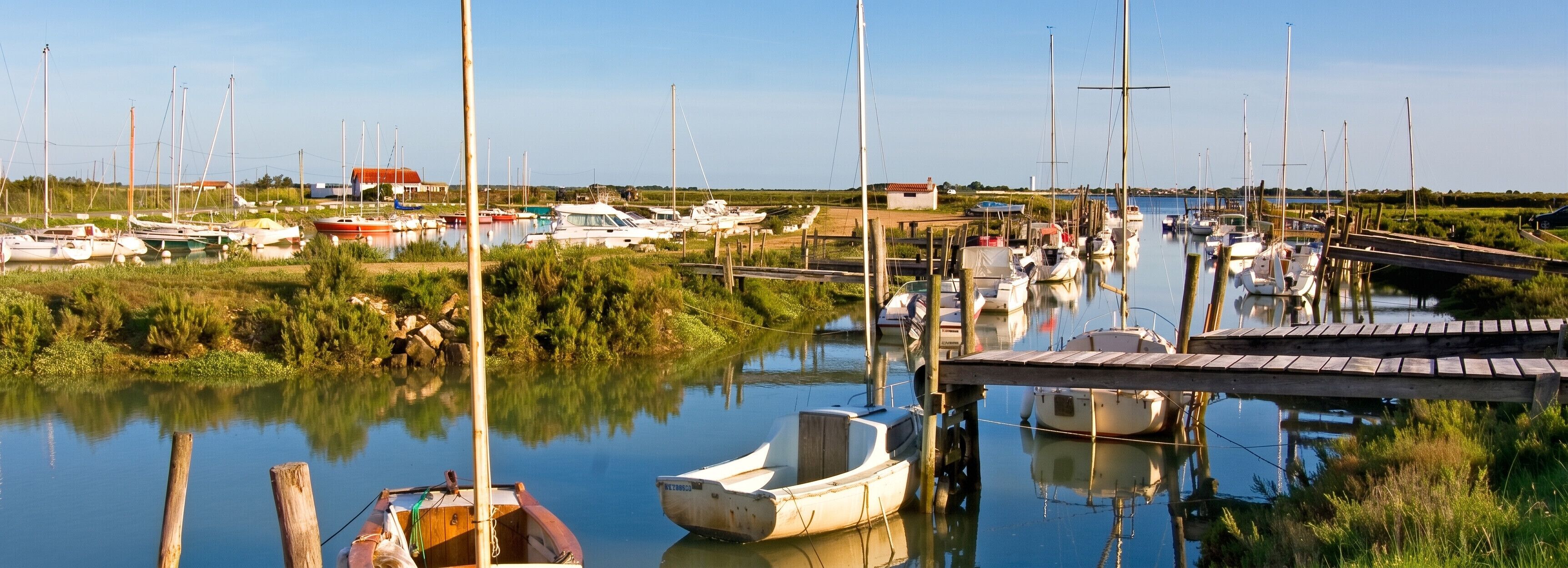 A marina with multiple boats docked, surrounded by greenery and a clear sky.