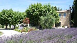 A stone building with a garden in front, surrounded by lavender fields. - Luxury vacation rental SALON DE PROVENCE LS7-351 (Salon-de-Provence)