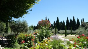 A garden with various flowering plants and trees. - Luxury vacation rental SALON DE PROVENCE LS7-351 (Salon-de-Provence)
