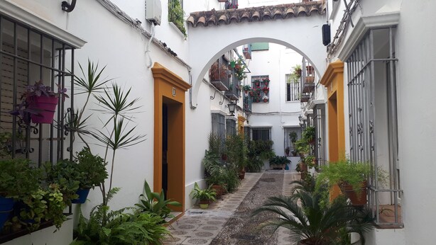 Un estrecho callejón con paredes blancas, piso de baldosas y numerosos maceteros.