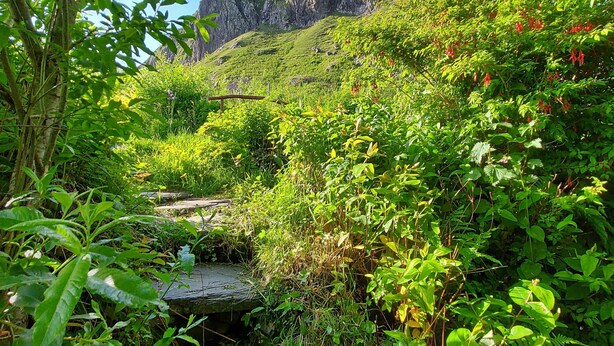 Un jardín exuberante con un puente de piedra, follaje denso y una montaña al fondo.